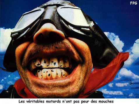 Le veritable motard...