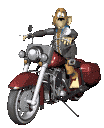 Motard